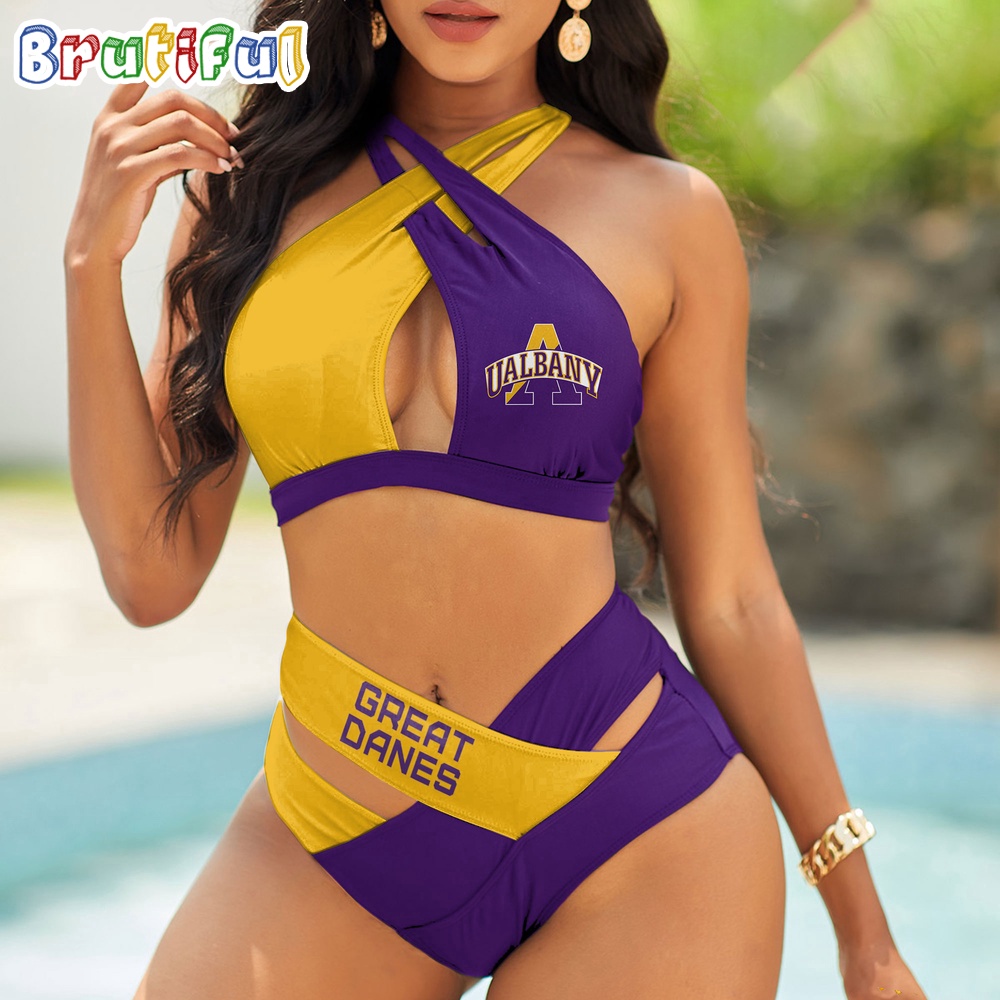 Farmhousemerch Albany Great Danes NCAA Women Bikini Set Gift For Fan